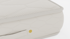 Gold 23cm - هابيتات جولد