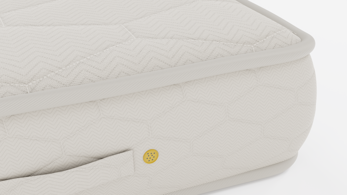 Gold 23cm - هابيتات جولد