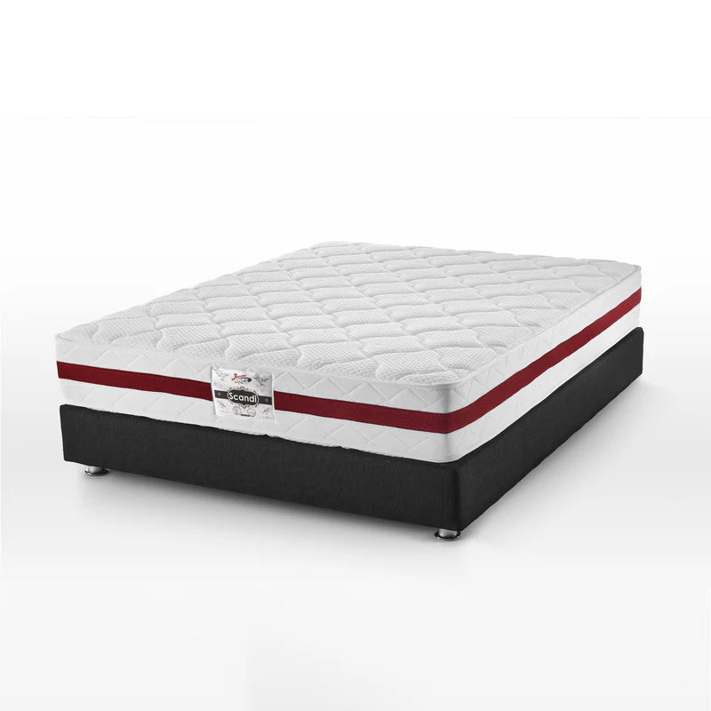 Scandi 25cm - يانسن سكاندي