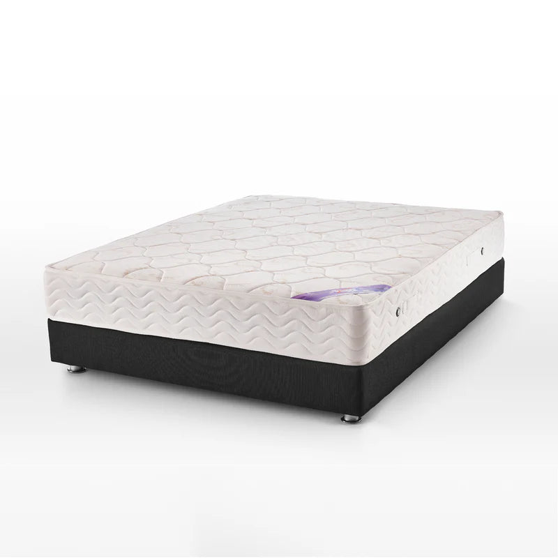 Sweet Dreams 24cm - يانسن سويت دريمز
