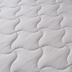 Cotton 25cm - هابيتات قطن