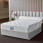Cotton Plus 25cm - هابيتات قطن بلس