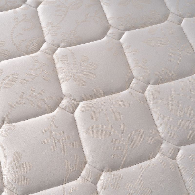 Cotton Plus 25cm - هابيتات قطن بلس