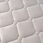 Cotton Plus 25cm - هابيتات قطن بلس