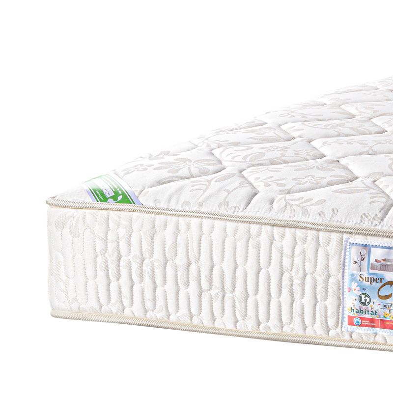 Cotton Plus 25cm - هابيتات قطن بلس