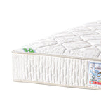 Cotton Plus 25cm - هابيتات قطن بلس