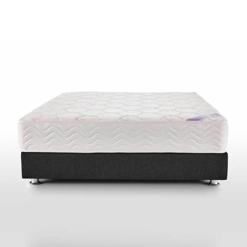Sweet Dreams 24cm - يانسن سويت دريمز
