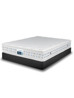 Englander Visco Pedic 27cm - انجلندر فيسكو بيدك